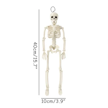 Helovinas Žmogaus Skeleto Modelis Anatomija Moliūgų Kaukolės Skeletas Papuošalai Persekioja Siaubo Rekvizitai Halloweens Dekoracijos